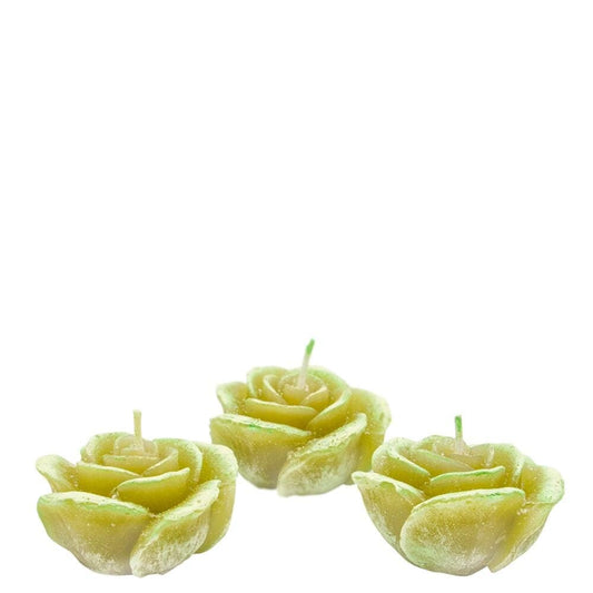5907602671261VD.jpg