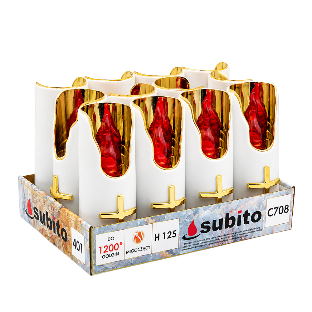 ESUB401-1.jpg