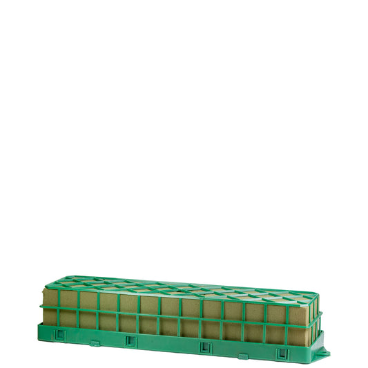MUSKINET40.jpg