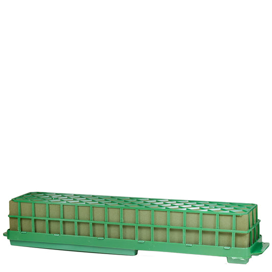 MUSKINET50.jpg