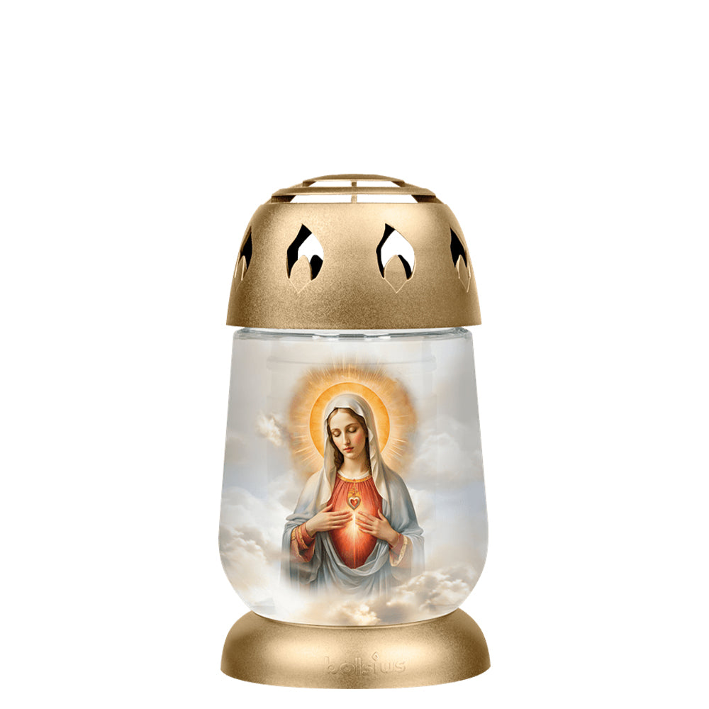V2SCMARIA.jpg
